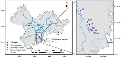 Attribution analysis and forecast of salinity intrusion in the Modaomen estuary of the Pearl River Delta